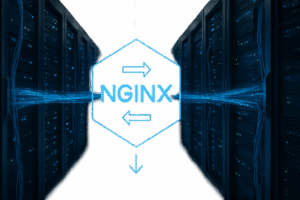 Webový server NGINX s presmerovaním URL a sieťovými pripojeniami v modernej serverovni