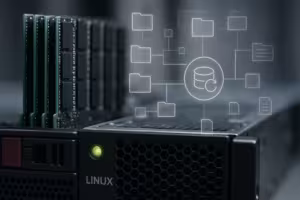 Linux Server with an Optimized File System Cache in the Data Center