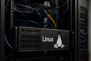 Linux Server in the Data Center with Optimized Socket Backlog